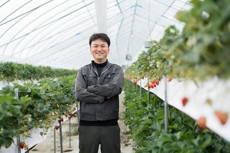 苺 奈良県産 古都華 プレミアムセレクト 24粒入り