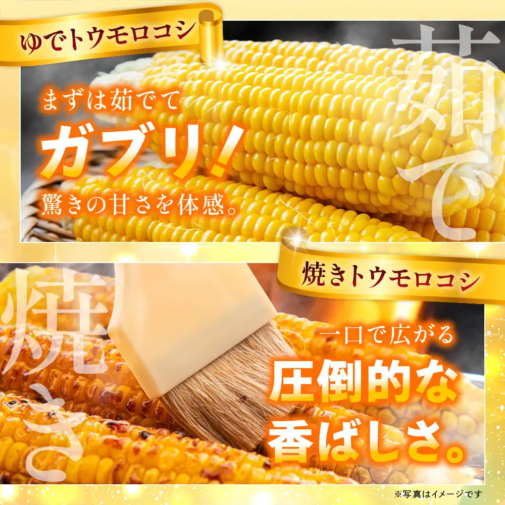 【2026年収穫分先行予約】【訳あり】富士山 恵味ゴールド｜トウモロコシ10～15本｜