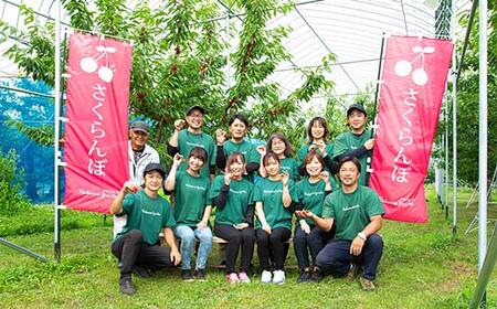 ≪2026年先行予約≫【仲野観光果樹園】ご家庭用 山形県産 西洋梨 小玉 ラ・フランス 5kg (12～20玉) 2026年11月中旬から順次発送 F2Y-6112