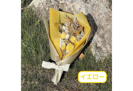 選べるお色ドライフラワーカラーブーケ Lサイズ：B570-004