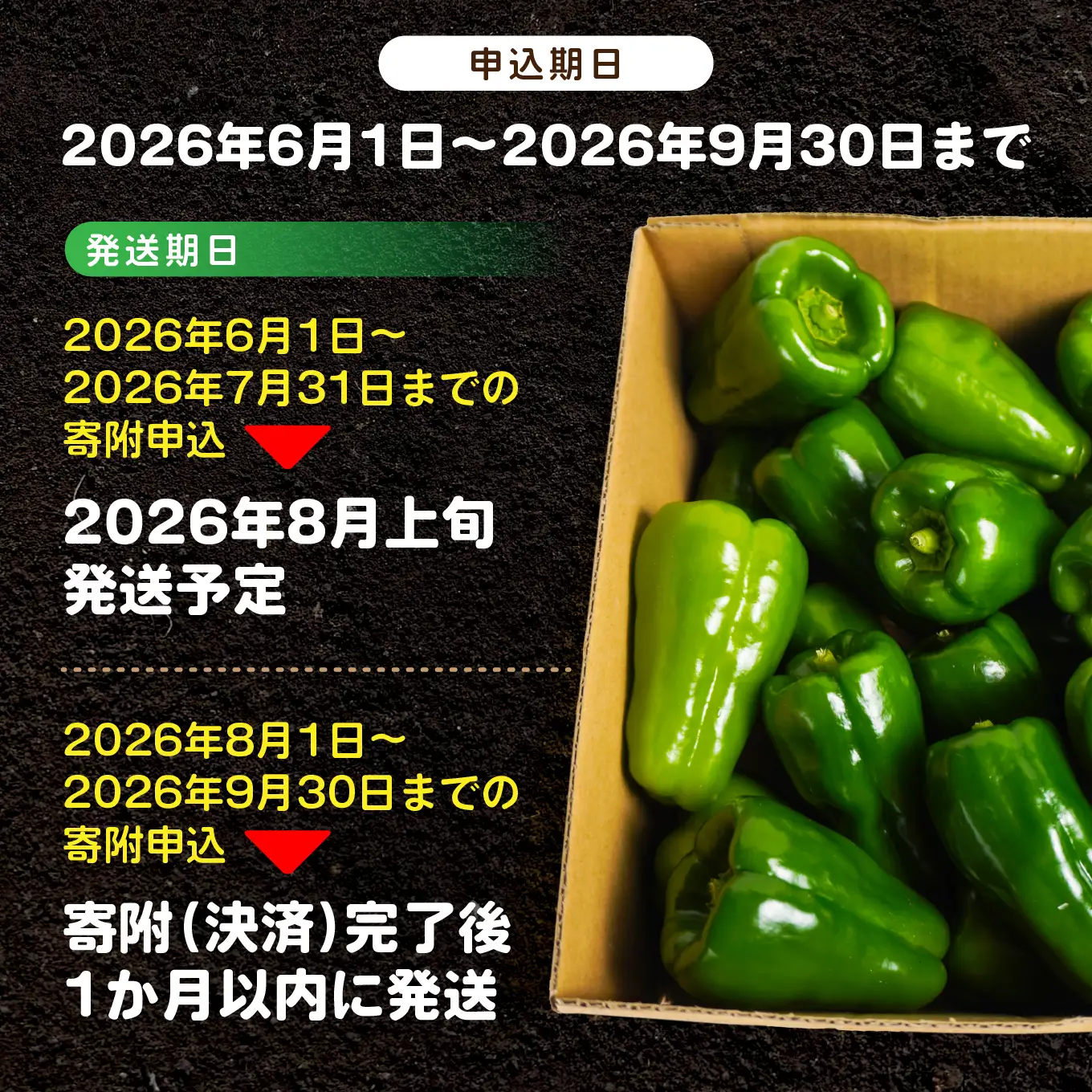 【青森県特別栽培】ピーマン 3kg ピクシー 【8月上旬～10月前半発送】　