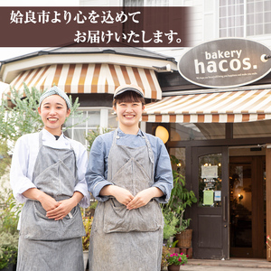 a985-A ハコスの人気ベスト3パン詰合せセット(各1個・計3個)【bakery hacos】姶良市 パン 冷凍パン 詰め合わせ 惣菜パン 菓子パン パイ アップルパイ めんたいフランス クランベリーチーズ