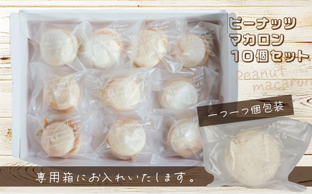 マカロン ピーナッツマカロン 10個 マカロン