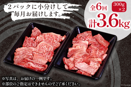牛肉 訳あり 6回 定期便 宮崎和牛 切り落とし 焼肉 600g ×6回 総計 3.6kg [道の駅「日向」物産館 宮崎県 日向市 452061150]