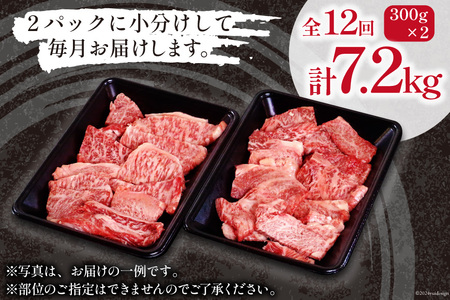 牛肉 訳あり 12回 定期便 宮崎和牛 切り落とし 焼肉 600g ×12回 総計 7.2kg [道の駅「日向」物産館 宮崎県 日向市 452061151]