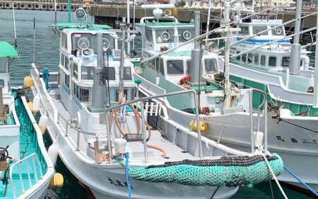遊漁船「第八十八翔栄丸」 乗船利用クーポン 5000円分 / 釣り 海釣り 船釣り 釣り船 魚釣り フィッシング fishing 漁船 体験 チケット クーポン ジギング ジギング船 タイラバ トンジキ イカメタル アジング サビキ釣り イカ釣り キャスティング 三重県 紀宝町 【sem002】