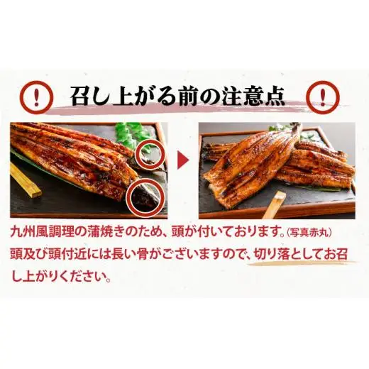 ＜最短発送(3～7営業日以内発送)＞【数量限定】『国産』うなぎ蒲焼 2尾 計400g
