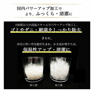 羽毛布団 柄お任せ 本掛け布団 訳あり ホワイトダウン85％