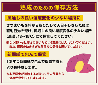 訳あり さつまいも 紅はるか 約5kg さつまいも