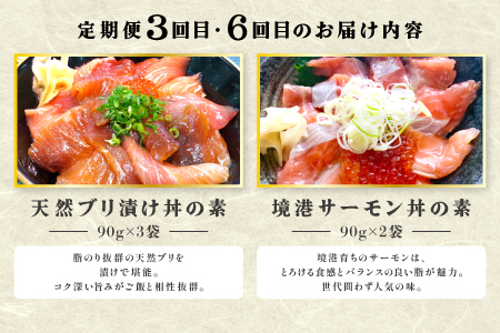 【6回定期便】海鮮漬け丼・昆布締め丼の素【真鯛 サーモンまぐろ 白いか 甘エビ ブリ 丼 素 海鮮丼 6回 コース 定期便 頒布会 ごはんのお供 簡単 時短 ご自宅用 お土産】