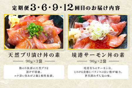 【12回定期便】海鮮漬け丼・昆布締め丼の素【真鯛 サーモンまぐろ 白いか 甘エビ ブリ 丼 素 海鮮丼 12回 1年 コース 定期便 頒布会 ごはんのお供 簡単 時短 ご自宅用 お土産】