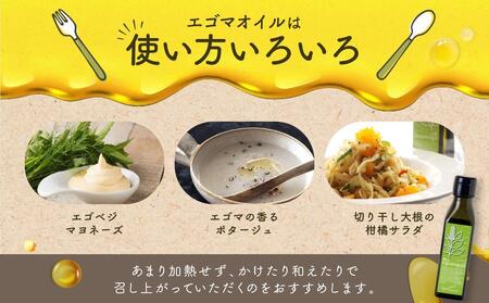 Bio egomaoil（えごまオイル）2本 | 株式会社ひとさじ MQ002VC13
