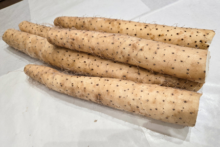 訳あり ながいも 約4kg (洗い)｜長芋 [0943]