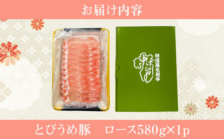 【お中元対象】大分県日田産 とびうめ豚 ロース しゃぶしゃぶ用 580g  日田市 豚肉 豚 ロース ブランド豚 しゃぶしゃぶ [ARCM001]