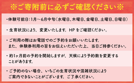 いちご摘み＆スイーツづくり体験券　2名様分 いちご狩り 行事