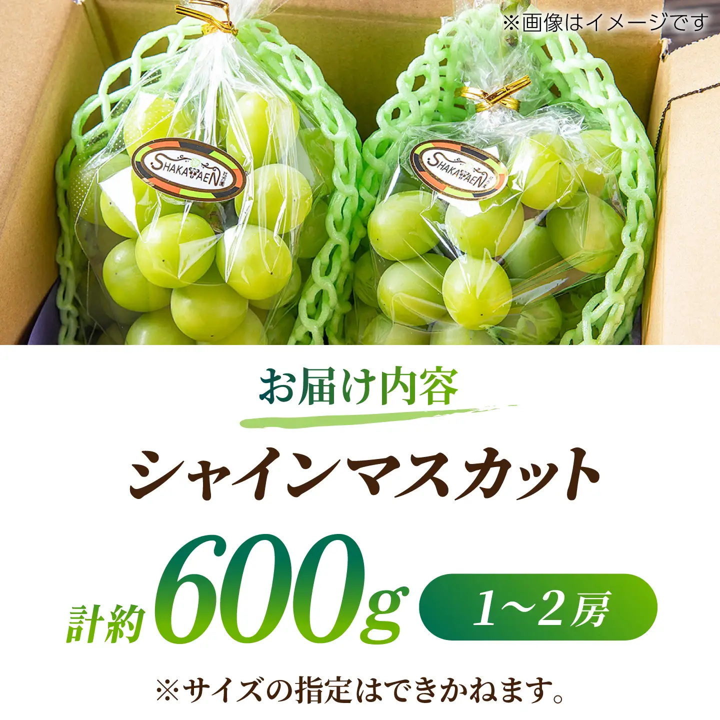 【先行予約】【訳あり】 シャインマスカット 約600g(1～2房)【合同会社 社方園】[ZBZ035]