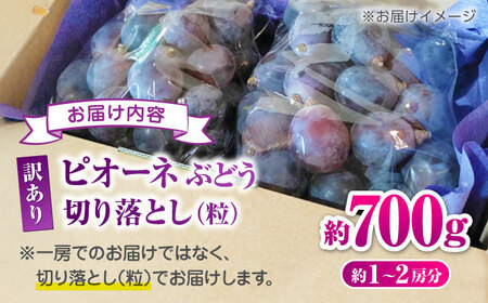 【先行予約】 訳あり ピオーネ ぶどう 切り落とし 約700g  【合同会社 社方園】[ZBZ037]