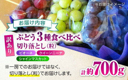 【先行予約】 訳あり ぶどう3種 食べ比べ 切り落とし 計約700g  【合同会社 社方園】[ZBZ040]