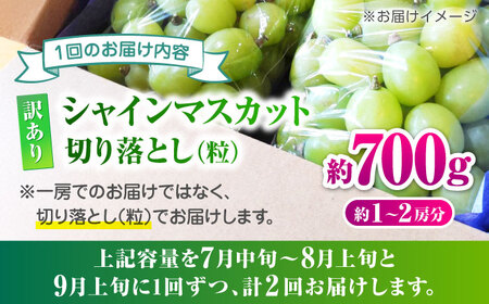 【先行予約】【2回定期便】 訳あり シャインマスカット 切り落とし 約700g  【合同会社 社方園】[ZBZ043]