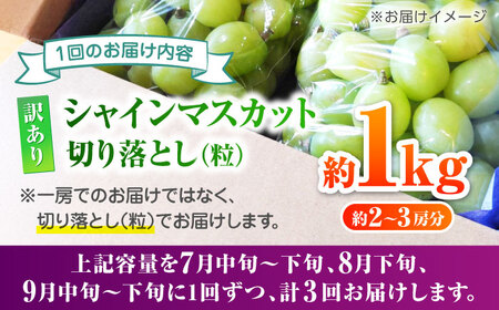 【先行予約】【3回定期便】 訳あり シャインマスカット 切り落とし 約1kg  【合同会社 社方園】[ZBZ047]