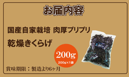 国産 自家製 乾燥 きくらげ （200g）ジョブクリエイト 肉厚 プリプリ キクラゲ 中華料理 ラーメン スープ アクセントに！  A080-028
