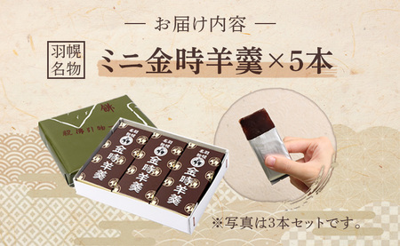 羽幌名物 ミニ金時羊羹5本入【11110】