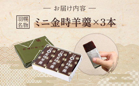 羽幌名物 ミニ金時羊羹3本入【1110901】