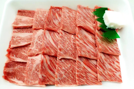【てらおかの能登牛】 能登牛 肩ロース (4〜5等級) 焼肉用 (600g) [てらおか風舎（寺岡畜産株式会社） 石川県 志賀町 AA4286]