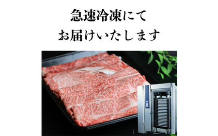 米沢牛・山形牛 特選サーロインステーキ 贅沢食べ比べセット 合計600g F2Y-3881