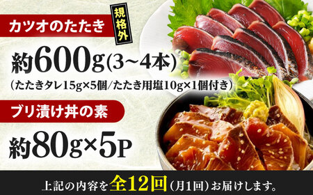 【12回定期便】規格外カツオたたき 約600g＋ブリ漬け丼の素 約80g×5パック 【興洋フリーズ株式会社】[ATBX124]