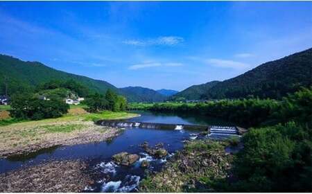 うなぎ蒲焼カット 700g（70g×10袋）小分け 冷凍 たれ付き 国産 蒲焼き 土用の丑の日 四万十うなぎ  Esu-204