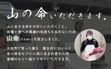 山命 下呂産 鹿肉のシカチャン 計700g（175g（約2～3人分）×4袋 やましげ下呂市 ジビエ 味付き 焼くだけ シカ肉【83-20】