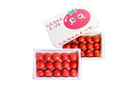 【先行予約】完熟トマト しんちゃんトマト 糖度7.0～8.9度 約1.5kg（750g×2箱）〈2027年1月〜発送〉 約1.5キロ とまと トマト 野菜 やさい 料理 サラダ マリネ 甘味 酸味 食品 食べ物【しんちゃんトマト】[BQCG005]