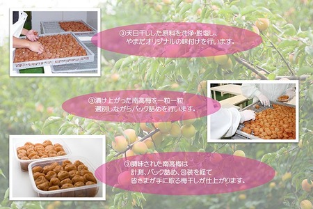 【定期便/3か月ごと/全3回】厳選紀州南高梅四種詰合せ | 梅干し 食べ比べ