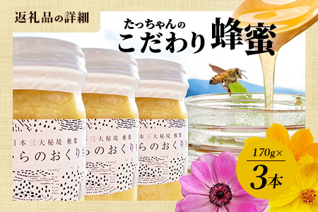 【無添加 非加熱】標高800m たっちゃんのこだわり蜂蜜【170g×3本】(送料無料 宮崎県 椎葉村 秘境 蜂蜜 はちみつ ハチミツ みつばち ミツバチ 伝統的 養蜂 国産 天然 百花蜜 巣箱 数量限定 季節 希少 防災 備蓄 170g 340g 510g) TN-06