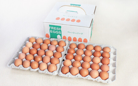 越前産 赤玉子 50個（45個＋割れ補償5個入り） 【冷蔵・卵】