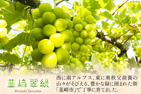 【2026年発送】 訳あり 粒 シャインマスカット 予約 約 1kg 家庭用 NS-1004 [韮崎翠緑 山梨県 韮崎市 20743061]