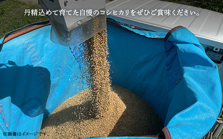 美星町産 コシヒカリ 日の里米 精米10kg（５kg×2袋）