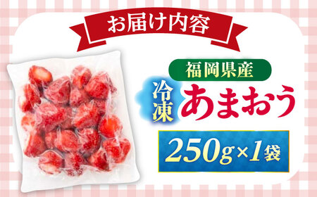 福岡県産 冷凍あまおう 250g（250g×1個）[ABEB024] いちご イチゴ 苺 果物 フルーツ [ABEB024] 