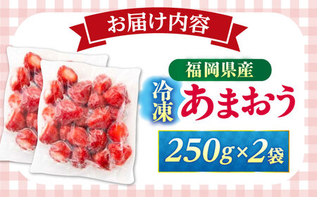 福岡県産 冷凍あまおう 500g（250g×2個）[ABEB025] いちご イチゴ 苺 果物 フルーツ [ABEB025] 
