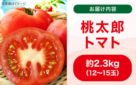 トマト【4月中旬から順次発送】 トマト 桃太郎 12から15玉 約2.3kg トマト[AGCX003]