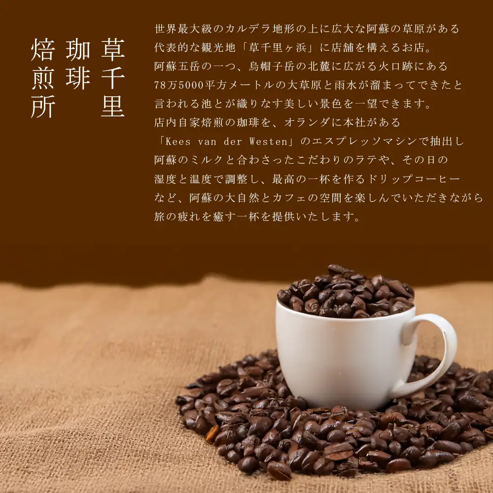 コーヒー 珈琲ギフトBOX ドリップバック 20Pセット (深煎り、浅煎り、計20P) 草千里珈琲焙煎所 ミディアムボディ 深煎り 浅煎り コーヒー豆 ブラジル カフェ 阿蘇山 お試し ギフト まろやか 美味しい 贈り物 熊本県 阿蘇市