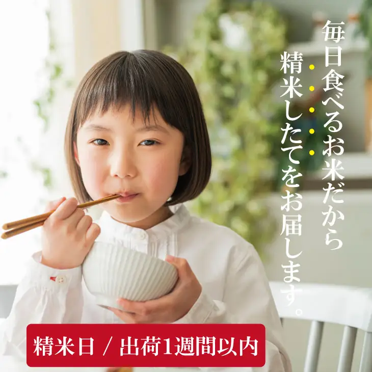 【6月配送】佐賀ブランド米「さがびより10kg（5kg×2）潮風F 白米 C280-001 