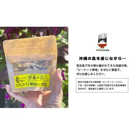 NC003　母ちゃんの秘伝レシピ『栄養一番』ピーナッツ味噌（60ｇ×5袋）