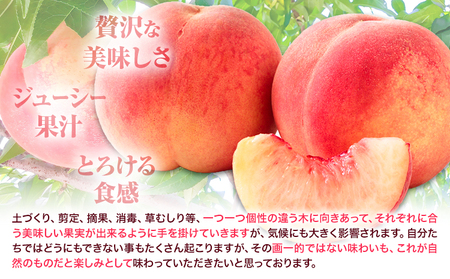 桃 かつらぎ町産桃 約2kg