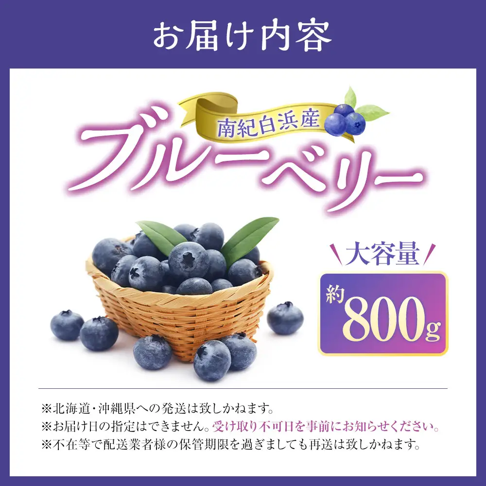 南紀白浜産ブルーベリー 約800g 大容量