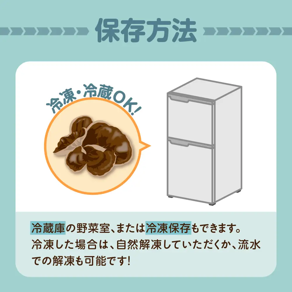 きくらげ　1kg (500g×2袋) 国産生キクラゲ木耳青森県五所川原市