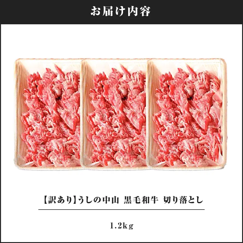 2872 【訳あり】うしの中山 黒毛和牛 切り落とし 1.2kg KN050-030 肉 牛 和牛
