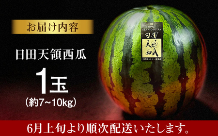 【先行予約】日田天領西瓜 1玉 約7kg～10kg スイカ[ARBD001]