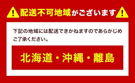 ぶどう ニューピオーネ 選べる 約 490g 1房  株式会社藍《9月上旬-10月下旬頃出荷》 岡山県 浅口市 岡山県産 ぶどう フルーツ 果物 くだもの ピオーネ 送料無料 【配送不可地域あり】 st-p
